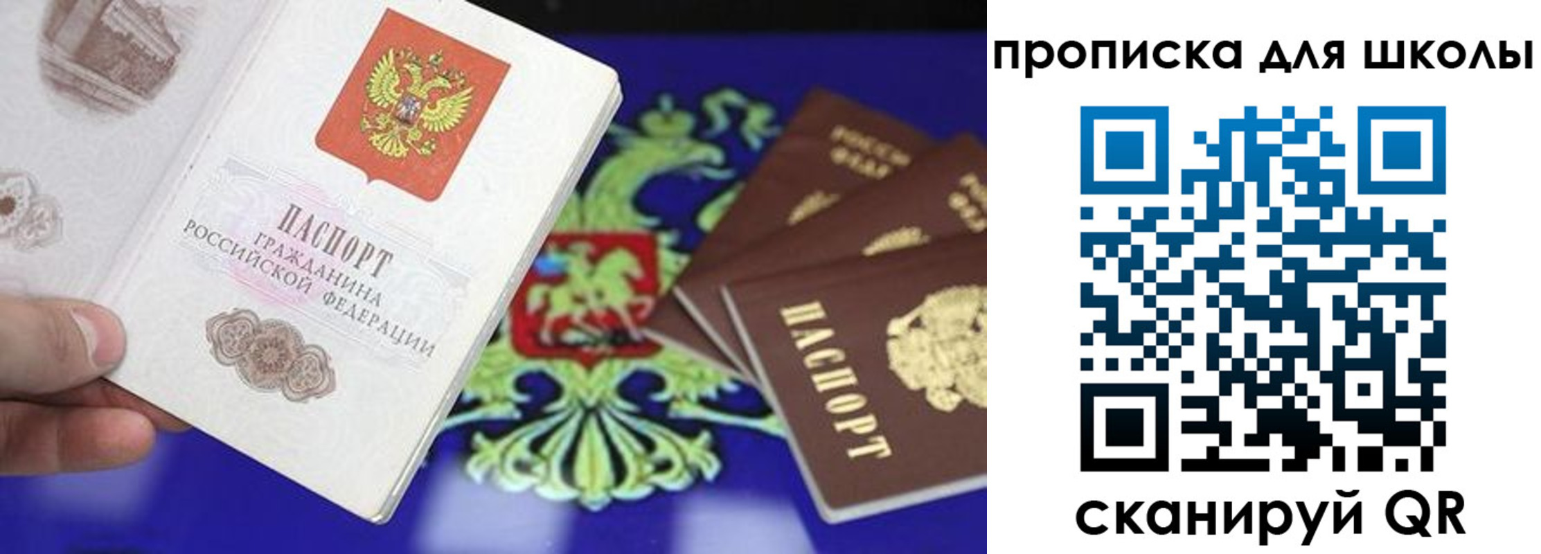 прописка в квартире в Бердске